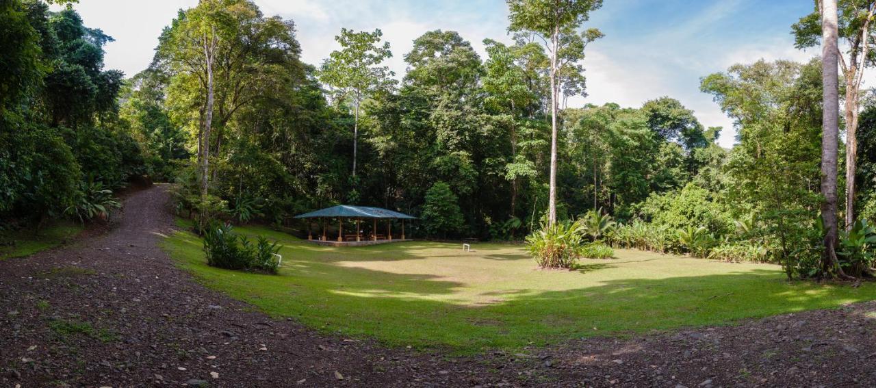 Casa Cedro - Portasol Vacation Rentals Matapalo  エクステリア 写真