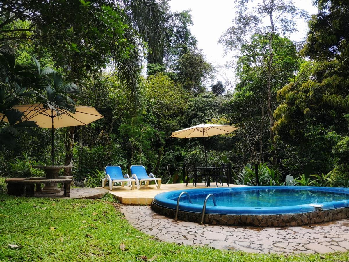 Casa Cedro - Portasol Vacation Rentals Matapalo  エクステリア 写真